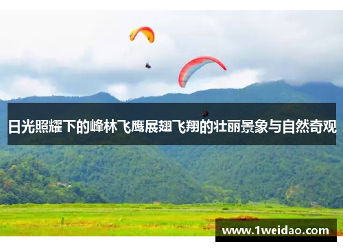 日光照耀下的峰林飞鹰展翅飞翔的壮丽景象与自然奇观